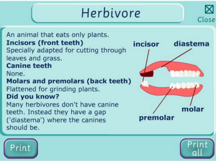 teeth games