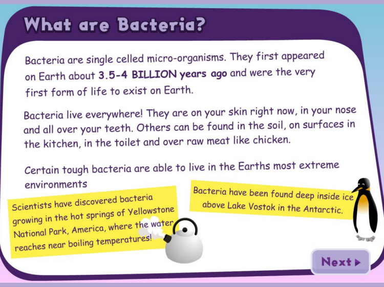 What are Bacteria screenshot