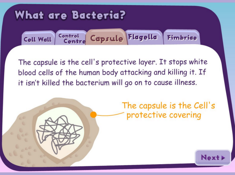 What are Bacteria screenshot