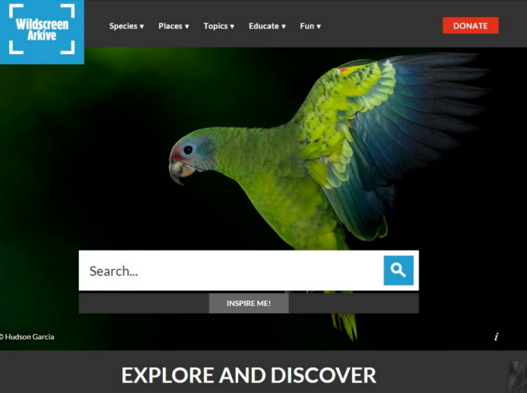 Wildscreen Archive homepage screenshot Wildscreen Archive homepage screenshot