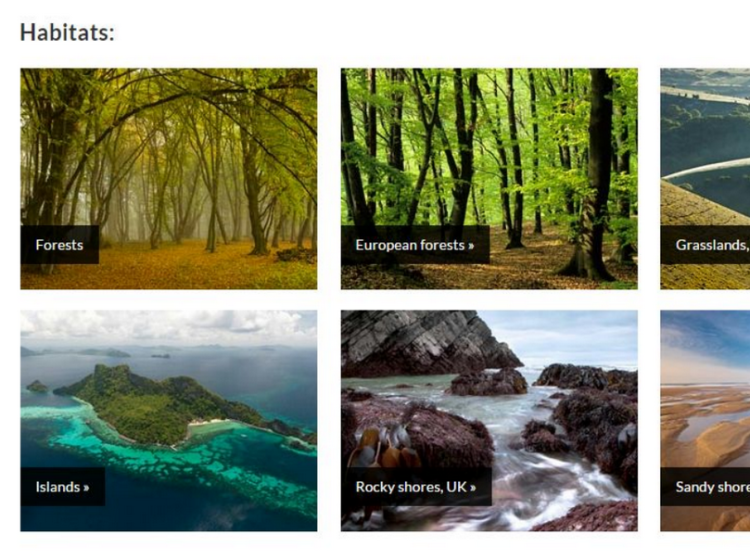 Wildscreen Archive Habitats screenshot Wildscreen Archive Habitats screenshot