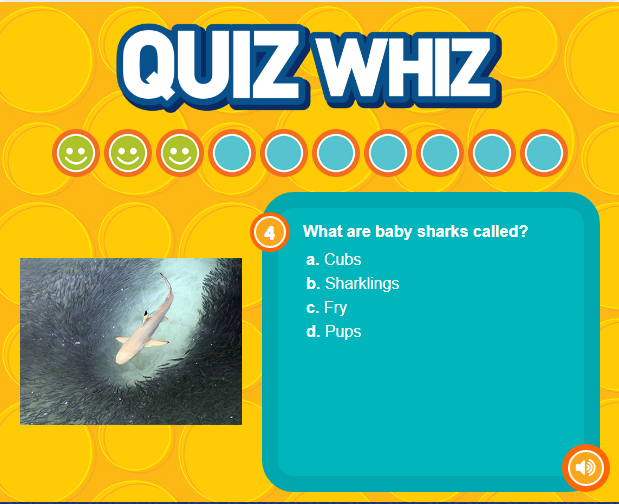 Shark Week Trivia, Games