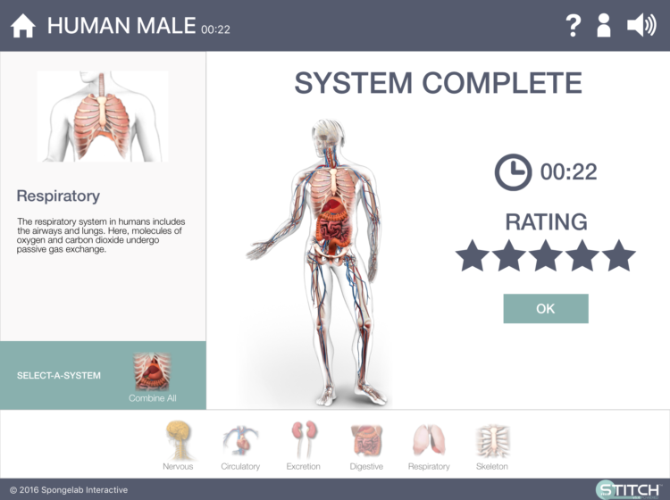 Build a Body: Biology Systems-Human | WowScience - Science ...