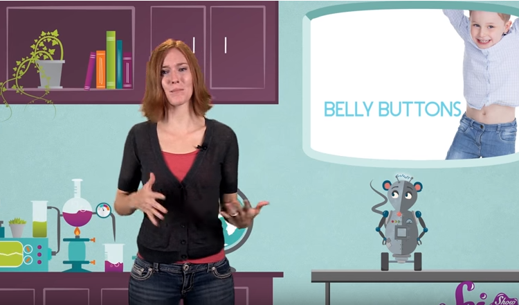 Kids News Explainer: What is a belly button and why does it look like it  does?