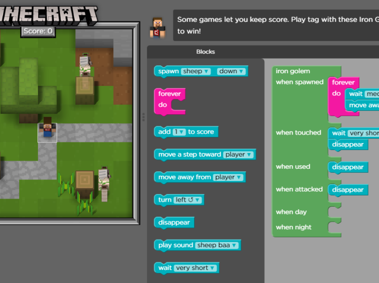 The Hour of Code Minecraft interface, with model world on the left