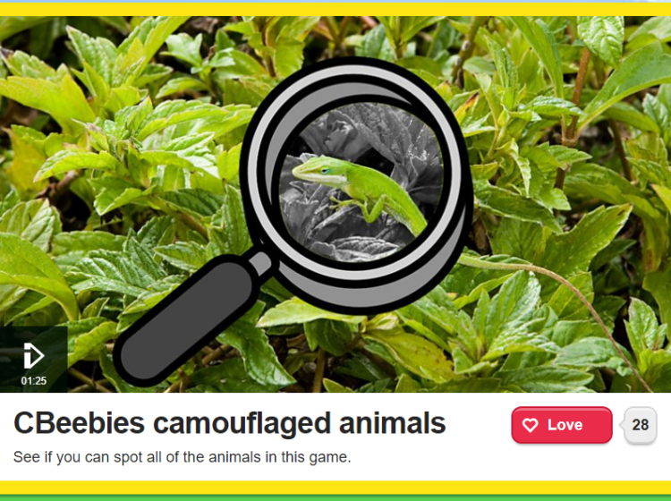 Camouflaged animals Screenshot