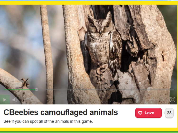 Camouflaged animals Screenshot