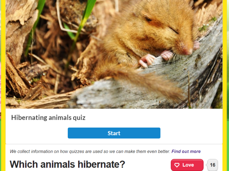 Which animals hibernate? Screenshot