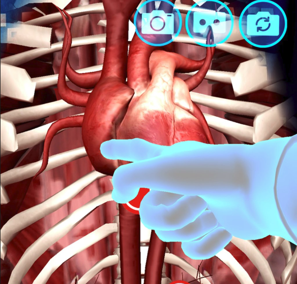 virtualiti screenshot 4 heart in ribcage