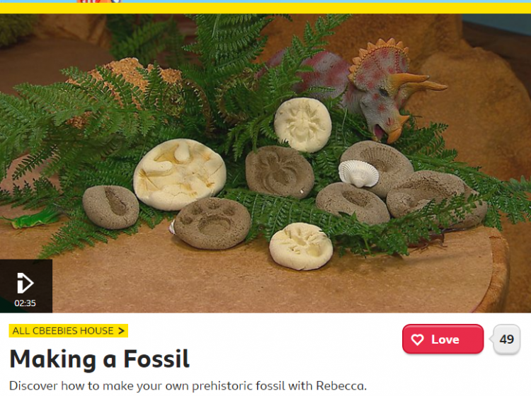 Making a fossil screenshot