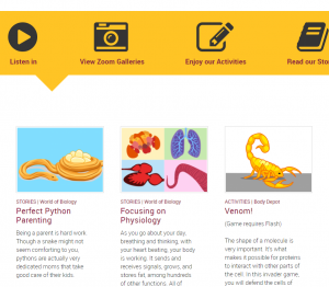 Ask a biologist screenshot of stories and activities. Python parenting and venom game.