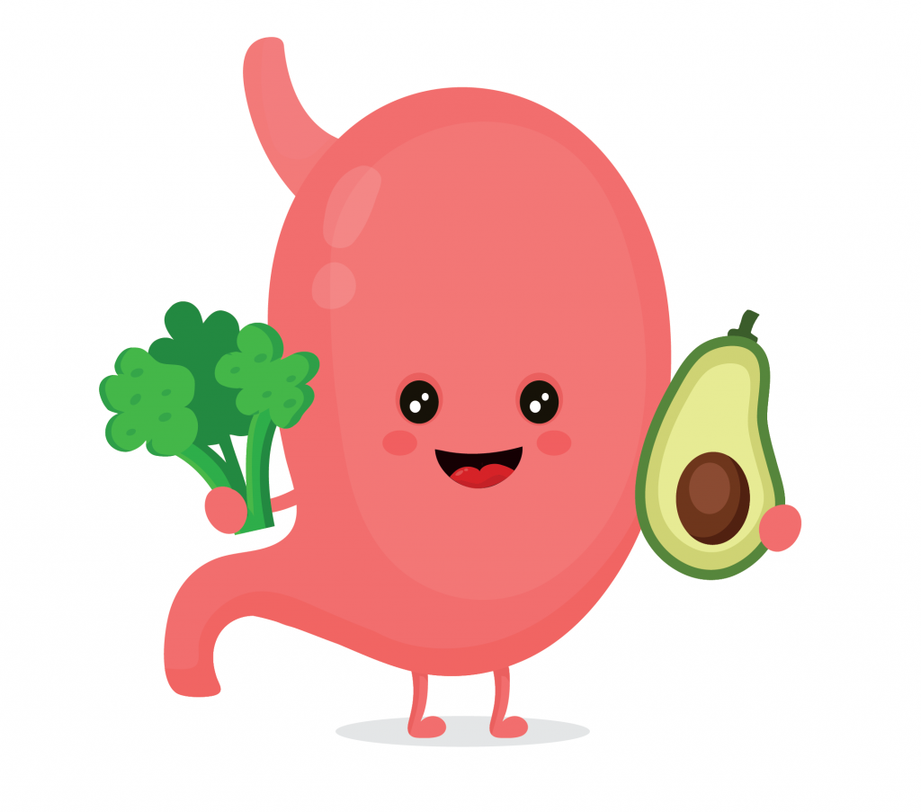 A cartoon stomach holding greens and an avocado