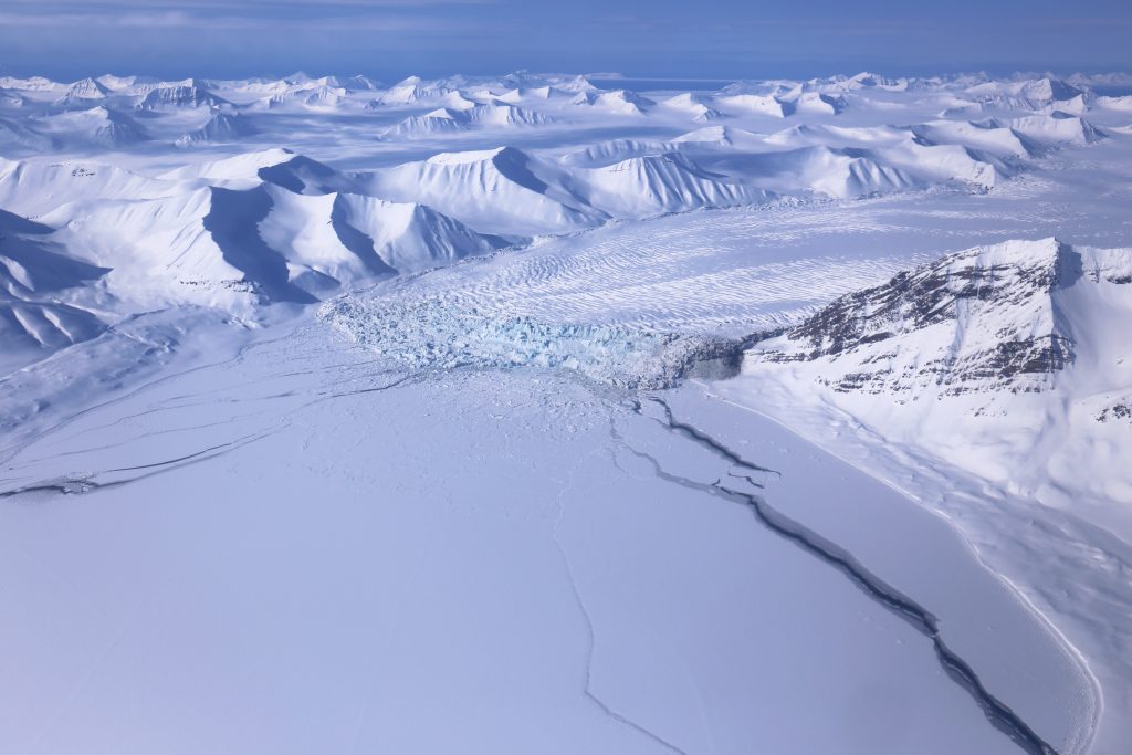 Arctic scene