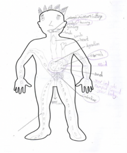 childs drawing of a body