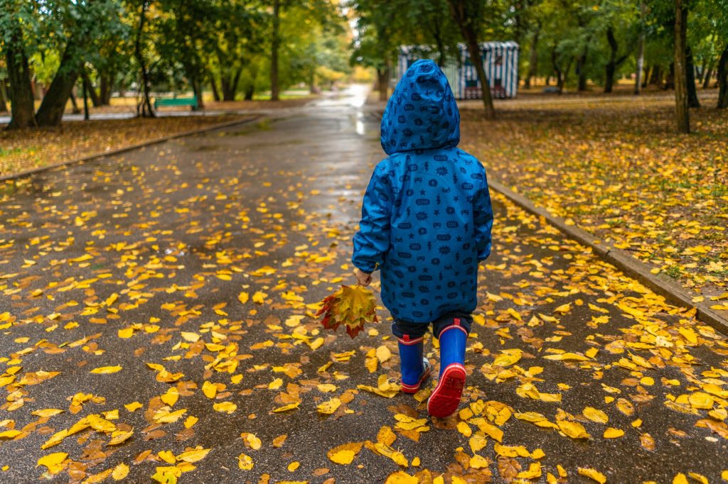 child with leaf