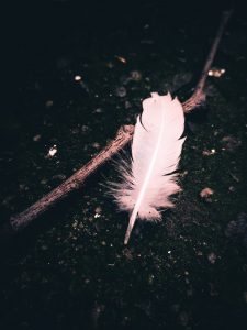 feather and stick