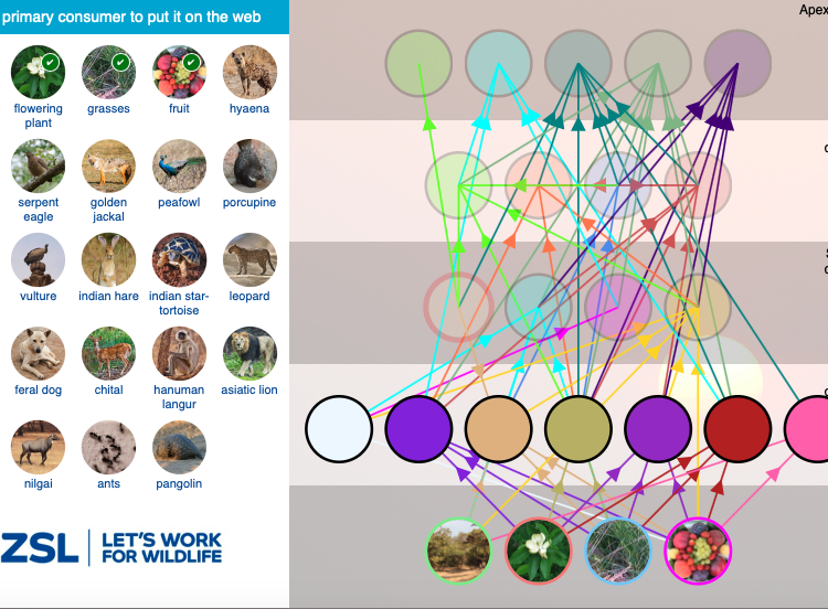 forest-food-web-game-wowscience-science-games-and-activities-for-kids